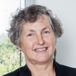 Dominique Costantini - Bio